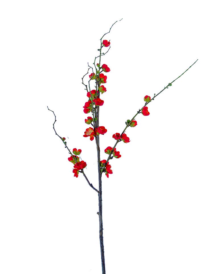 35" PLUM BLOSSOM SPRAY