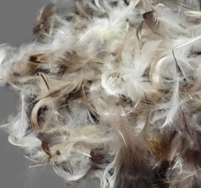 Down Feather Throw Pillow Insert