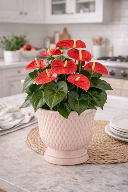 Pink Textured Pedestal Planter — Diamond Pattern