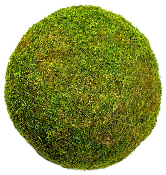 12" Moss Balls