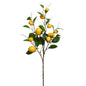 36" Lemon Spray