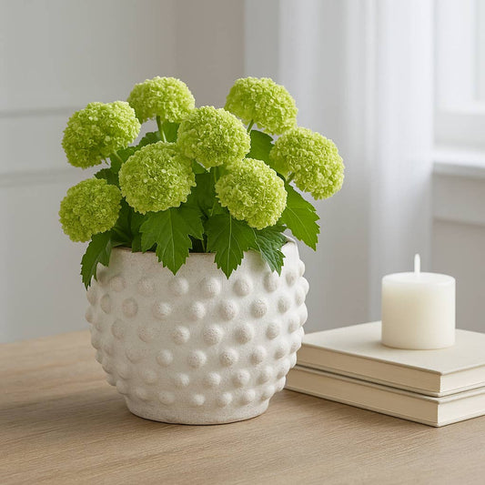 Planter - White Terracotta Round Bubble Rough Finish, 6 in.