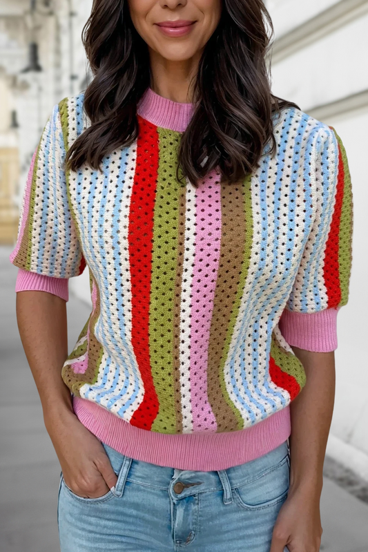 Striped Pointelle Knit Short Sleeve Sweater