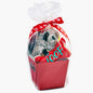 Clear Cellophane Basket Wrap Bags