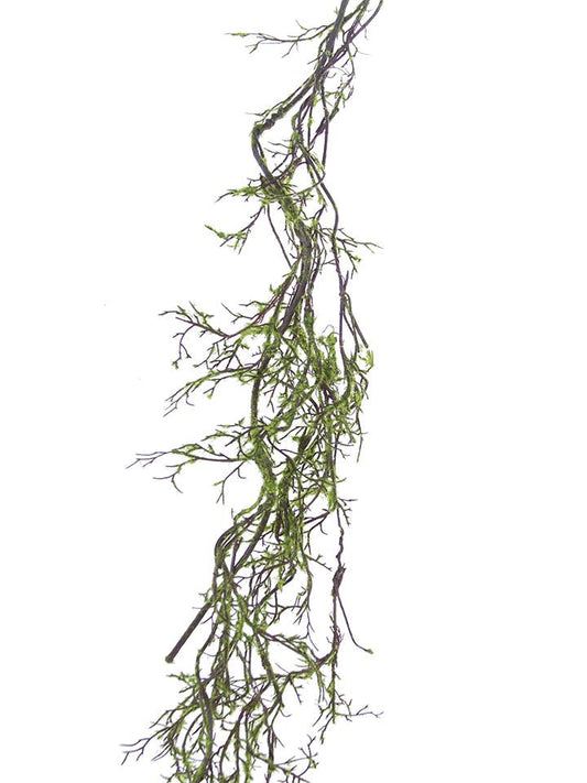 5' MOSSY BRANCH VINE